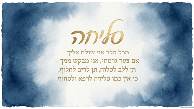 בקשת סליחה אם פגעתי